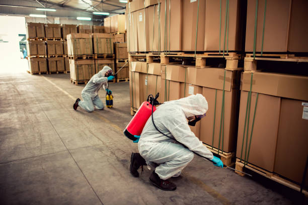 Best Mosquito Control Services  in Norco, CA