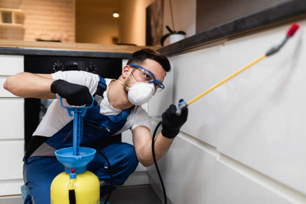 Best Local Pest Control Services  in Norco, CA