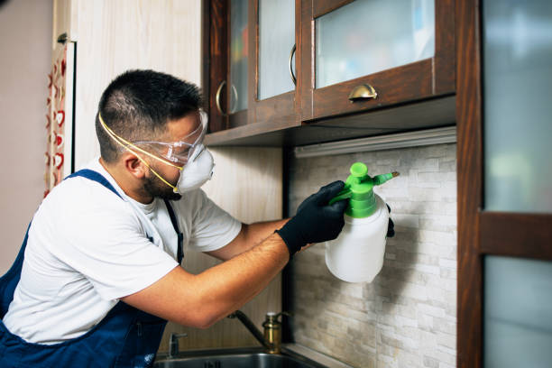 Best Ant Control Services  in Norco, CA