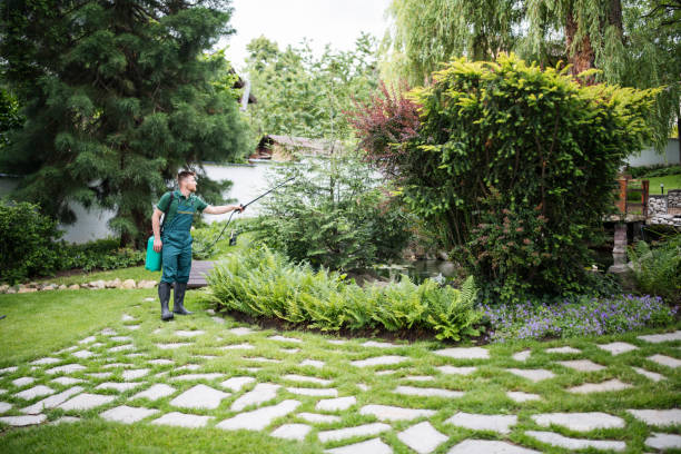 Best Commercial Pest Control Services  in Norco, CA
