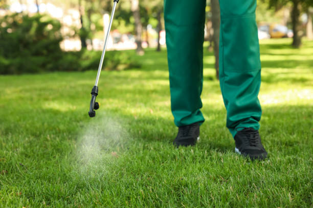 Best Cockroach Control Services  in Norco, CA