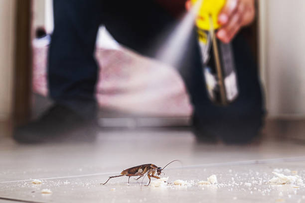 Best Exterminator Services  in Norco, CA